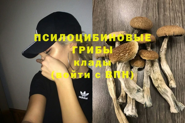 спиды Володарск