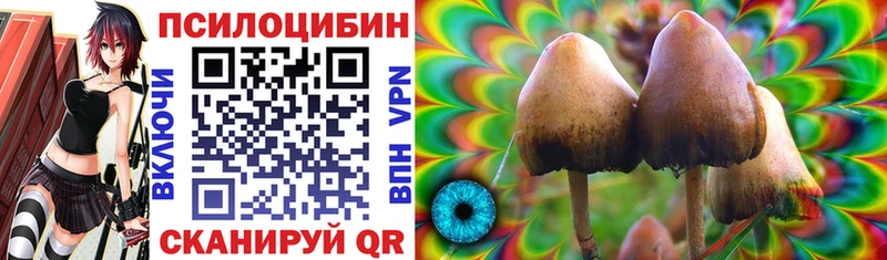наркота  Юхнов  Псилоцибиновые грибы Psilocybine cubensis 